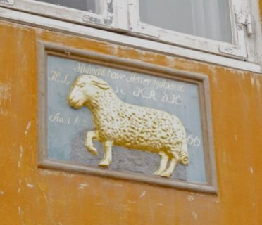 21Nyhavn sheep